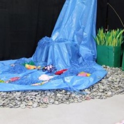 Thumbnail of post image 141