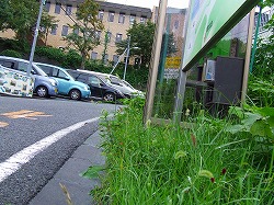 Thumbnail of post image 109