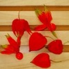 Thumbnail of related posts 057