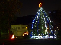 Thumbnail of post image 047