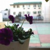 Thumbnail of related posts 018