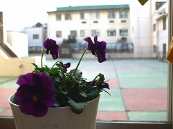 Thumbnail of post image 080