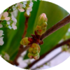 Thumbnail of related posts 185