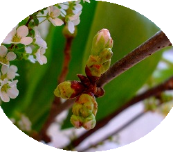 Thumbnail of post image 026