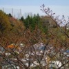 Thumbnail of related posts 079