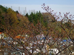 Thumbnail of post image 040