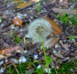 Thumbnail of post image 167