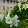 Thumbnail of related posts 109