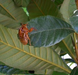 Thumbnail of post image 119