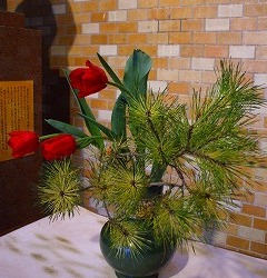 Thumbnail of post image 045