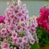 Thumbnail of related posts 115