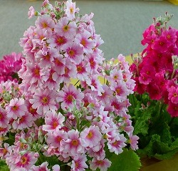 Thumbnail of post image 113