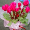 Thumbnail of related posts 166
