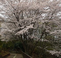 Thumbnail of post image 073