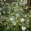 Thumbnail of related posts 032