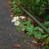 Thumbnail of related posts 182