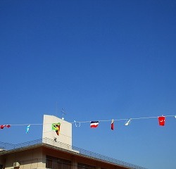 Thumbnail of post image 166