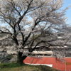 Thumbnail of related posts 181