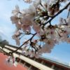 Thumbnail of related posts 040