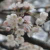 Thumbnail of related posts 007