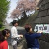 Thumbnail of related posts 014