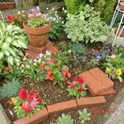 Thumbnail of post image 137