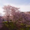 Thumbnail of related posts 150