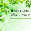Thumbnail of related posts 035