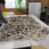 Thumbnail of related posts 192