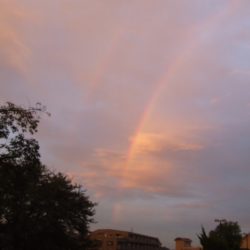 Thumbnail of post image 174