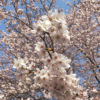 Thumbnail of related posts 046