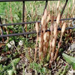 Thumbnail of post image 016