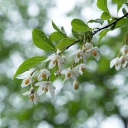 Thumbnail of post image 091