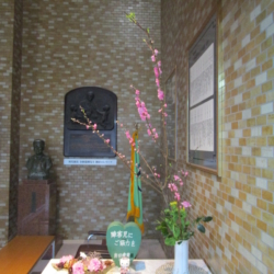 Thumbnail of post image 120