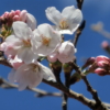 Thumbnail of related posts 165