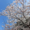 Thumbnail of related posts 086