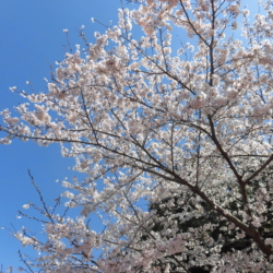 Thumbnail of post image 177