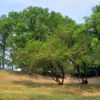 Thumbnail of related posts 115