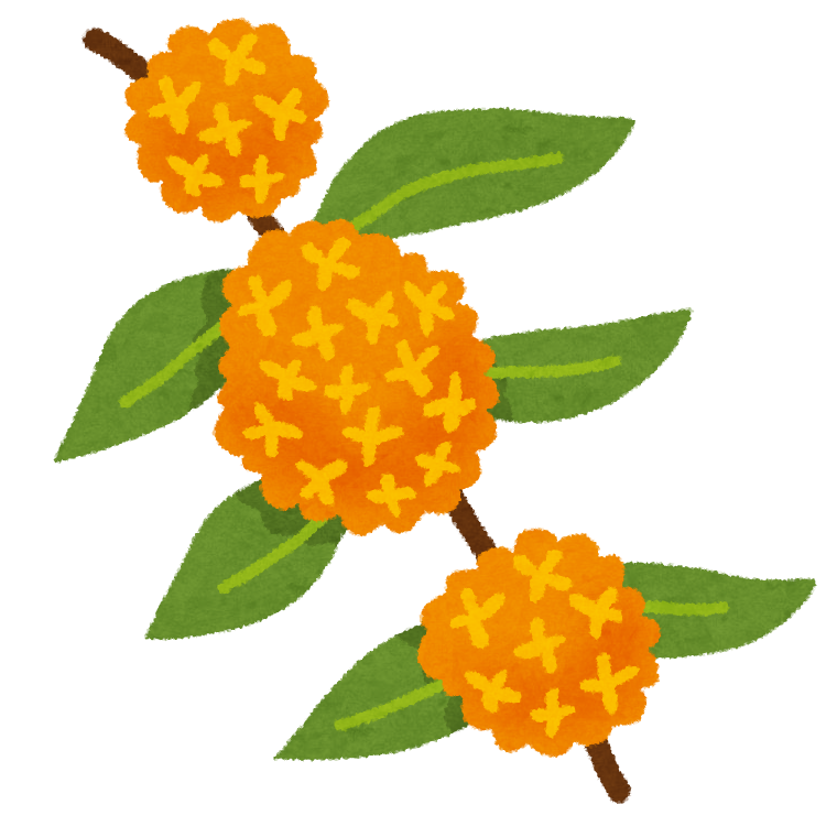 不安を減らす関わり方 環境づくり 島田療育センターブログ ぽっけ