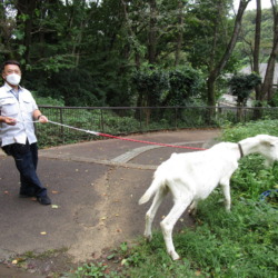 Thumbnail of post image 036