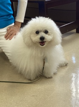 Thumbnail of post image 153