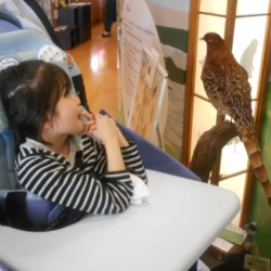 Thumbnail of post image 011