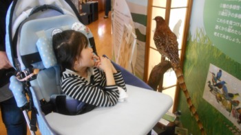 Thumbnail of post image 116