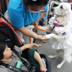 Thumbnail of post image 060